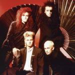 artist image Dead Or Alive You Spin Me Round (Like a Record) Youthquake