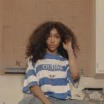 artist image SZA feat. Kendrick Lamar Doves In The Wind Ctrl (Deluxe)