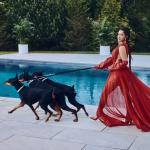 artist image Cardi B Bodak Yellow Invasion of Privacy