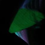 artist image Teriyaki Boyz Tokyo Drift (Callmearco Remix) Tokyo Drift (Callmearco Remix) - Single