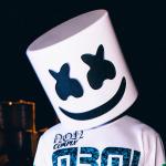 artist image Marshmello, Tyga, Chris Brown Light It Up Light It Up - Single