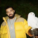 artist image Drake Headlines Headlines - Single