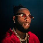 artist image Burna Boy Last Last Love, Damini