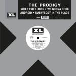 album image The Prodigy - Everybody In the Place (Mark Sherry's 'Luminosity' Raveburst Mix) What Evil Lurks