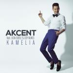 album image Kamelia Kamelia (Remixes) [feat. Lidia Buble & Ddy Nunes] - Single