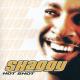 Shaggy feat. Ricardo Ducent - It Wasn't Me