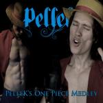 album image Share The World! (One Piece Opening 11) PelleK's One Piece Medley