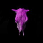 album image Sıkıntı Var Sıkıntı Var - Single