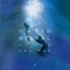 David Bisbal - Fiebre