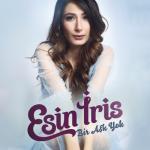 album image Bir Aşk Yok Bir Aşk Yok - Single