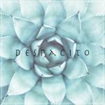 album image Luis Fonsi, Daddy Yankee ft. Justin Bieber (Madilyn Bailey & Leroy Sanchez Cover) Despacito - Single