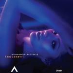 album image Mesto zlocina Testament