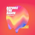 album image Before The Dawn (COE Remix) Before the Dawn (Coe Remix) - Single