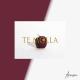 𝑅𝑒𝓂𝒾𝓍 - Temolla