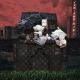 SLIMUS - Capital