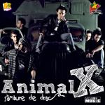 album image Nisip purtat de vant @ www.MP3Alese.com Sambure de drac