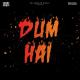 Kr$na - Dum Hai