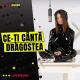 Roxen - Ce-Ţi Cântă Dragostea