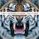 Thirty Seconds To Mars - This Is War