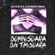 Eli & Puya feat. George Hora - Domnisoara Din Timisoara [Official Radio Edit]
