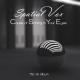 Spatial Vox - Stop To Look Alike Extended Mix (re-cut by Manaev)