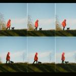 album image Having a Good Time, Sometimes Having a Good Time, Sometimes - Single