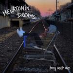 album image I Won’t Let You Go Melatonin Dreams
