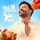 Yalin - Yaz Gulu (TRmusic)