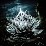 album image Darkbloom Darkbloom