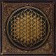 Bring Me The Horizon - The House Of Wolves (недо cover)