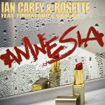 album image Amnesia (feat. Timbaland & Brasco) (Extended Mix) Amnesia (feat. Timbaland & Brasco)