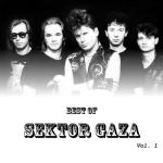 album image Сектор Газа