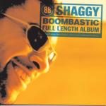 album image Mistr lova lova Boombastic