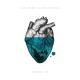 Alix Perez, SpectraSoul - Synergy (Original Mix)