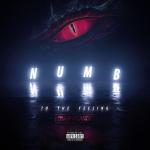 poster Numb to the Feeling Numb to the Feeling
