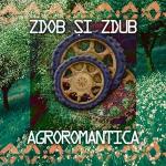 poster Видели ночь Agroromantica