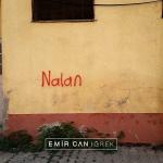 poster Nalan Nalan
